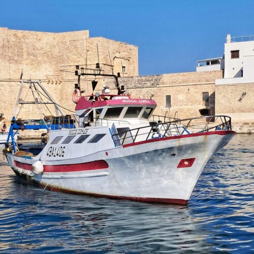 espertitalia_gallery_attrazioni_opuntiahome (11)