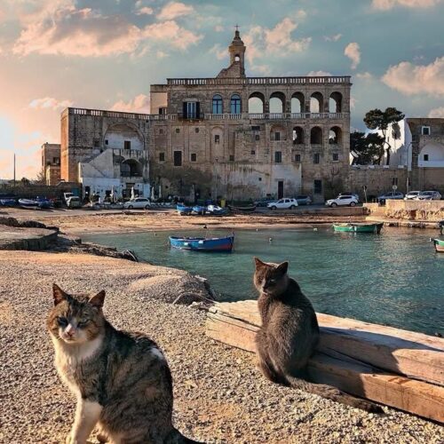 espertitalia_gallery_attrazioni_opuntiahome (4)